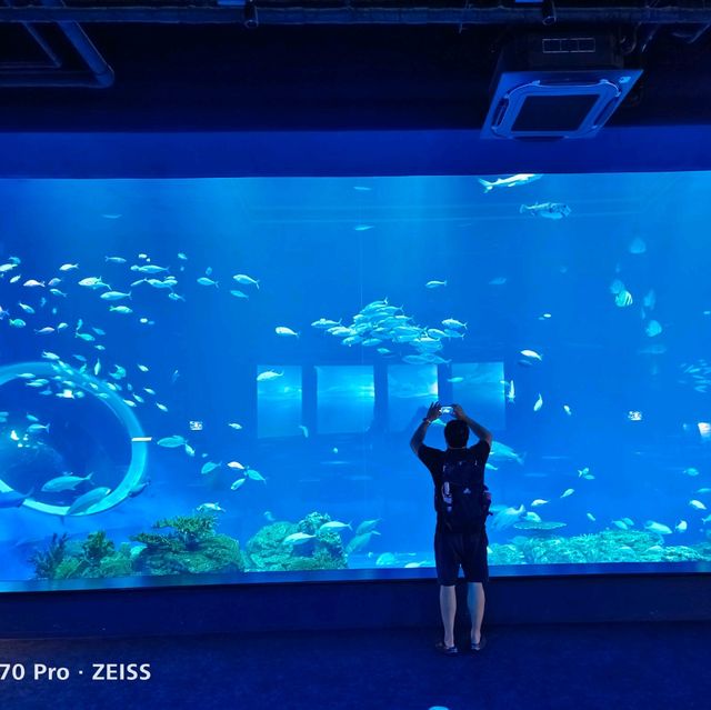 沖繩景點DMM_Kariyushi水族館 