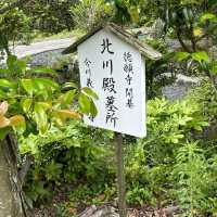 静岡市を一望する徳願寺