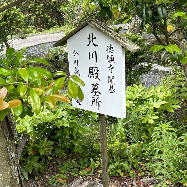 静岡市を一望する徳願寺