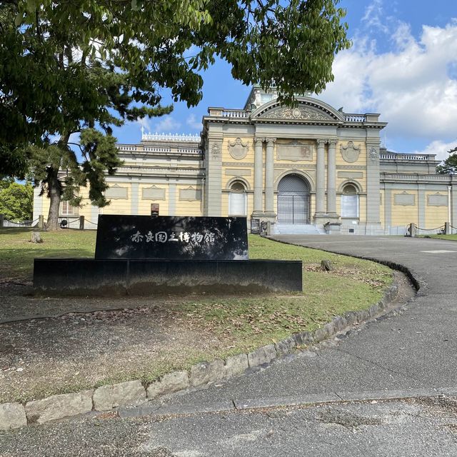 名勝「奈良公園」観光客で賑わい鹿は元気でした