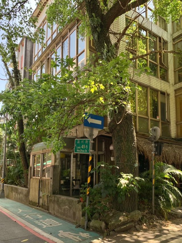 타이베이 대만대학교 근처 카페 agct apartment