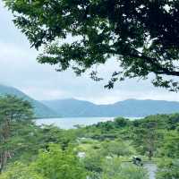 【ペットとお出かけ】本栖湖をぶらりお散歩！