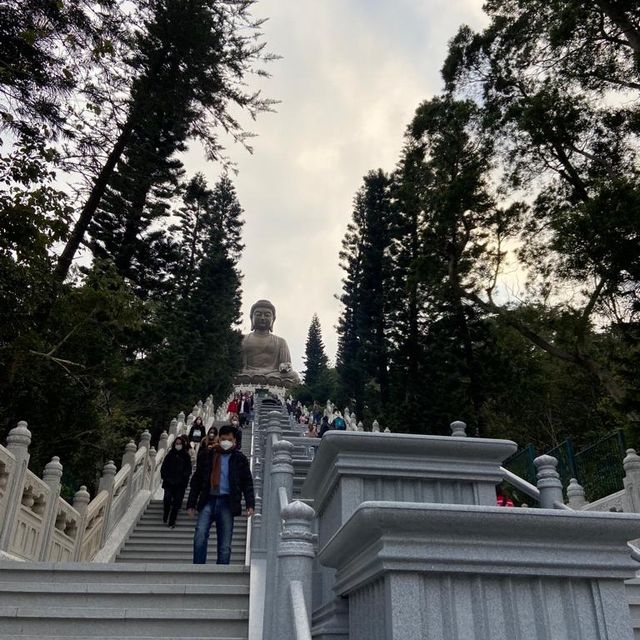 昂坪360去天壇大佛