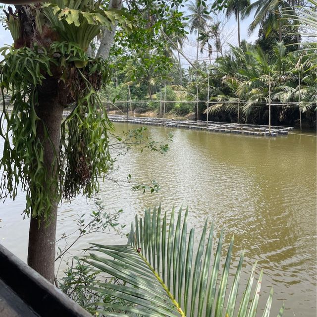 "บ้านยายศรี" hidden place ปากน้ำชุมพร📍