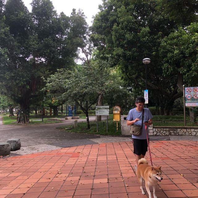 莒光環保公園