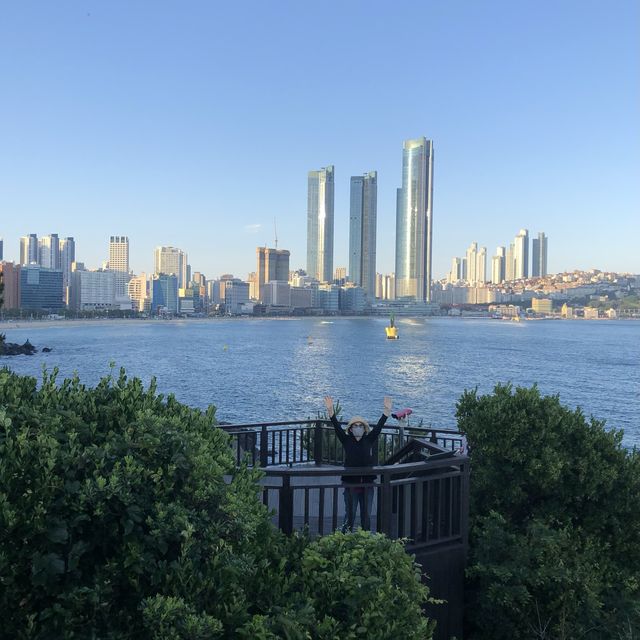해운대 경치를 만끽할 수 있는, 동백공원