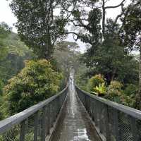 Don’t Miss This Side of Penang