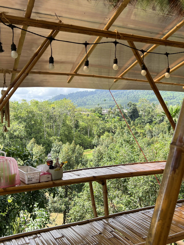 สุขทุกวัน คาเฟ่ท่ามกลางธรรมชาติ☘️🍦☕️