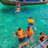 Snorkeling At Chicken Island