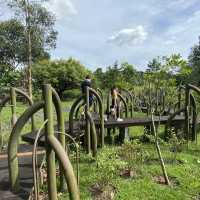 Exploring Sungei Buloh Wetland Reserve’s