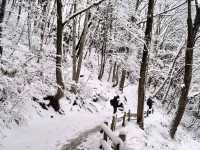 雪國裡的古民家 - 福島縣 大內宿