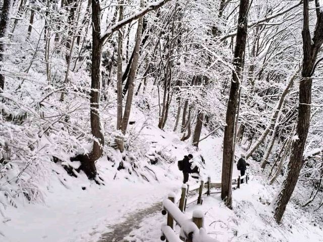 雪國裡的古民家 - 福島縣 大內宿