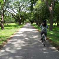 ทัวร์เมืองโบราณ "ศรีสัชนาลัย" มรดกโลก