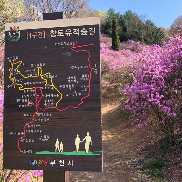 超美的遠美山🤩 四月時必到景點