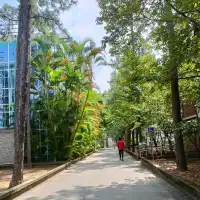 明新科技大學