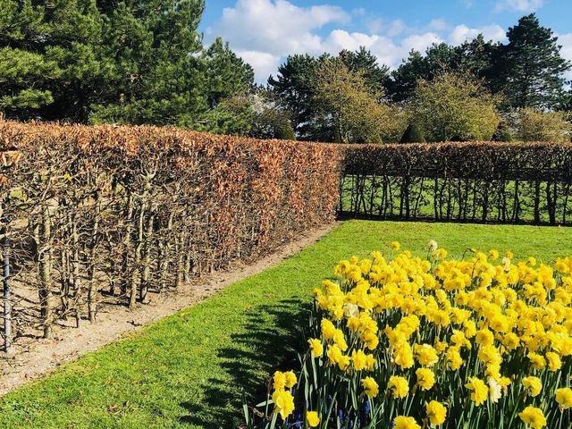 荷蘭🇳🇱盧瑟Lisse·親子好去處🐑🌳庫肯霍夫花園Keukenhof Garden