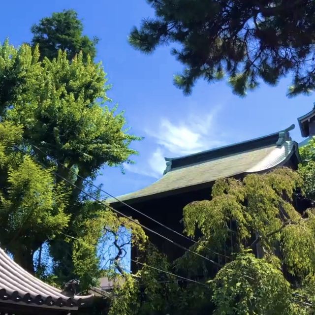 🌟 요코하마에서 가장 오래된 절, 역사 깊은 구묘지를 여행해보세요! 