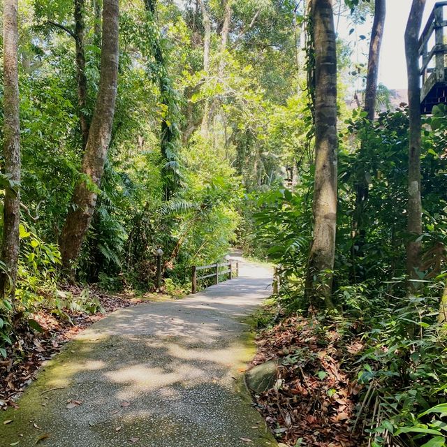 Permai Rainforest Resort