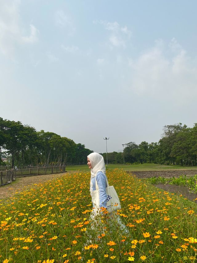สวนรถไฟ เดินรับลม ใจกลางเมือง แค่นี้ก็ฟินล่ะ