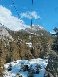 🇨🇦 來加拿大不可錯過的 畢生難忘 最美風景纜車 Sea to Sky Gondola🚡