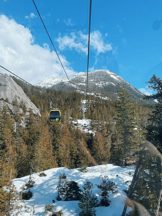 🇨🇦 來加拿大不可錯過的 畢生難忘 最美風景纜車 Sea to Sky Gondola🚡