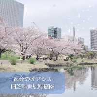 都会のオアシス！旧芝離宮恩賜庭園