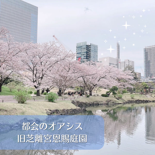 都会のオアシス！旧芝離宮恩賜庭園