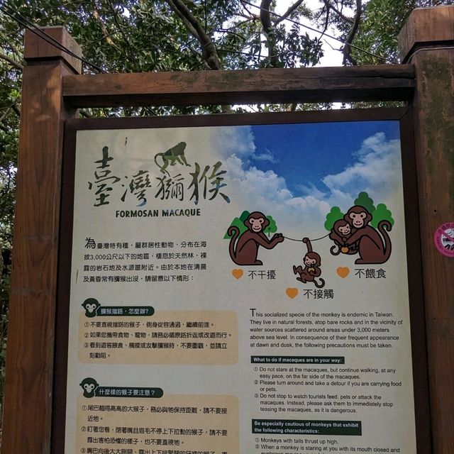 陰涼好走的天母古道