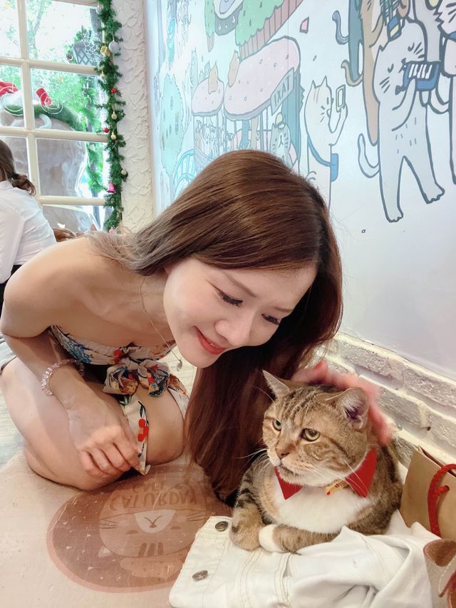 曼谷貓cafe 