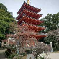 2023年 福岡観光！「東長寺」