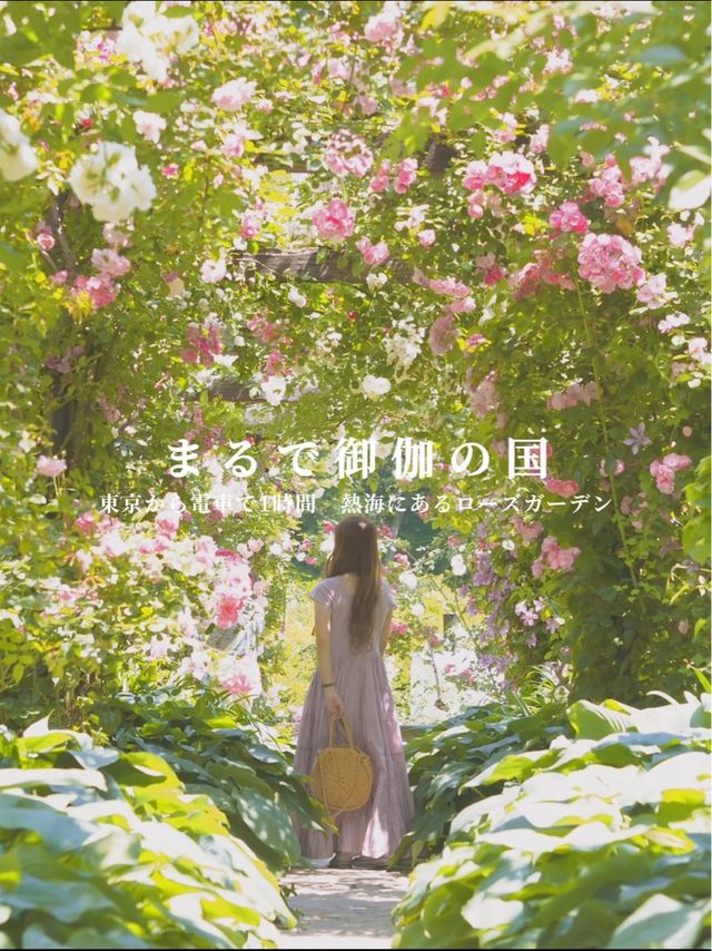 御伽の国のような景色に出会える。熱海のアカオフォレスト