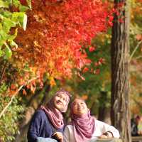 Enjoy the photoahoot in Nami Island