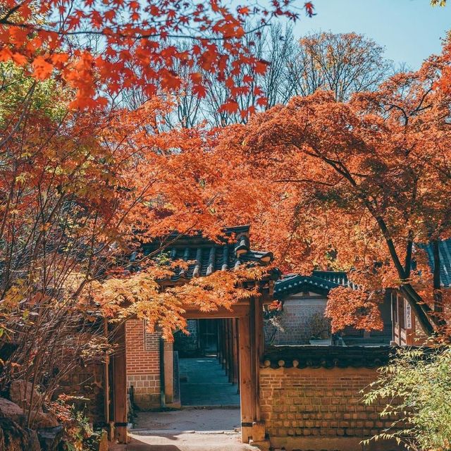 Changdeokgung's Secret Garden scenery