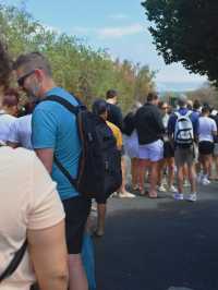 Boulders Beach : Simon's Town หาดแพนกวิ้น