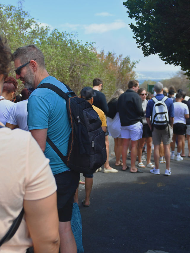 Boulders Beach : Simon's Town หาดแพนกวิ้น