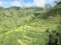 Tinglayan Rice Terraces