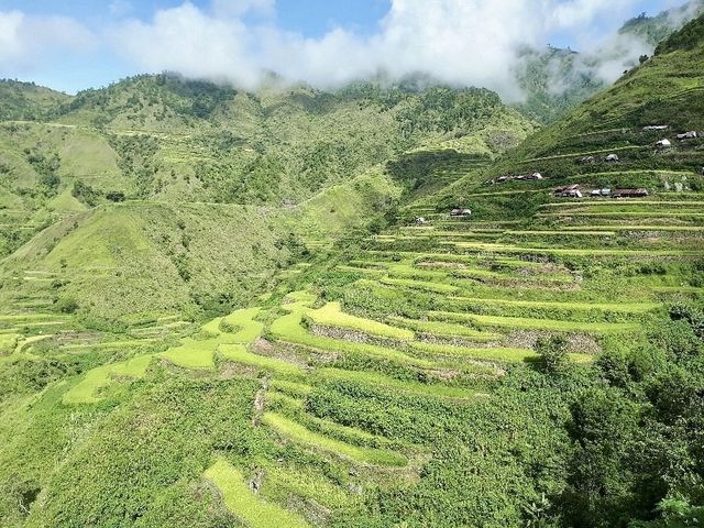 Tinglayan Rice Terraces