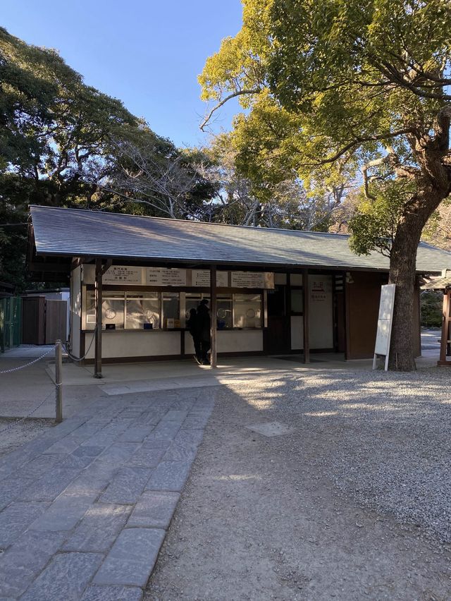知らなかった大仏様の胎内に50円で！入れる！！
