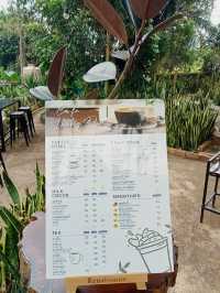 หลงดอย ⛰️☕️🌳🥓