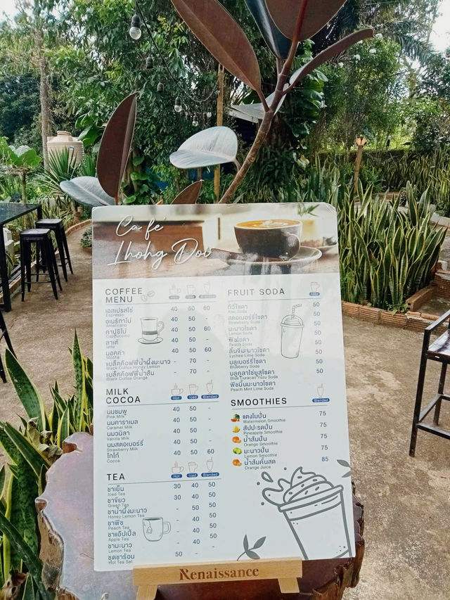 หลงดอย ⛰️☕️🌳🥓