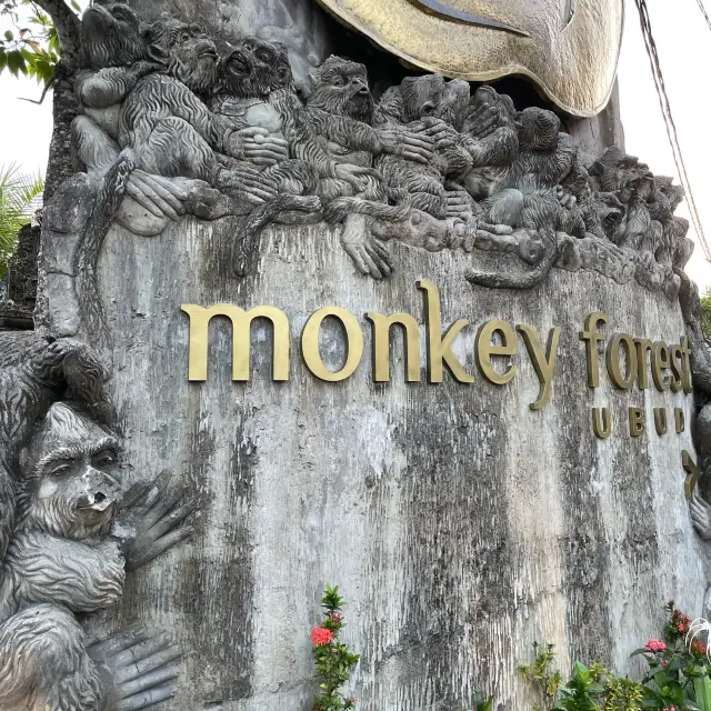 발리우붓 명소 원숭이들이랑 사진 찍기 : Monkey forest , 몽키포레스트