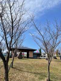 【大阪府】辰年に行ってみたい「龍神社」