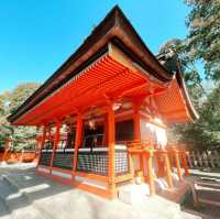 Memorable torii gates at the famous Kyoto Shinto s