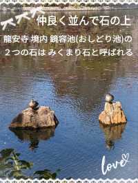 龍安寺の境内の鏡容池(おしどり池)の、水分石(みくまり石)の上には、２羽の鳥が仲良く並んでいた