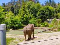 Old Los Angeles Zoo