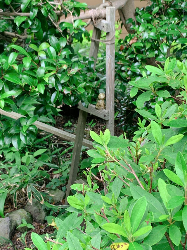 【鳥取　大山】元お寺のカフェ