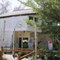 นั่งเล่นชิวๆ ณ White House Beach คาเฟ่ริมเล