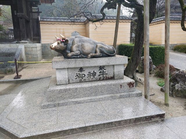 UNESCO Heritage Temple @ Fukuoka