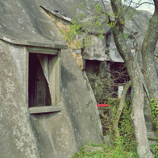 🏛 이시돌목장 테쉬폰 주택, 고대 건축 양식의 보물!