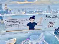 SkyPark Observation Deck